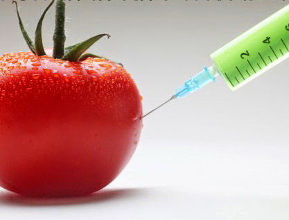Что такое ГМО и какой от него вред?