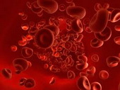 Очищение крови в домашних условиях всего за 10 дней